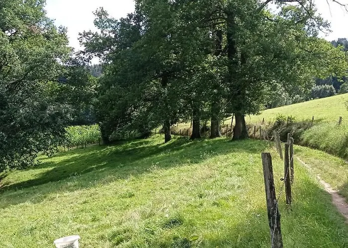 A L'oasis De Chamousset