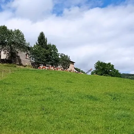 Bed & Breakfast A L'oasis De Chamousset Brullioles
